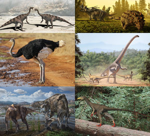 300px Dinosauria diversity