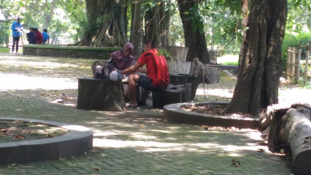 IMG 20220319 WA0045 1