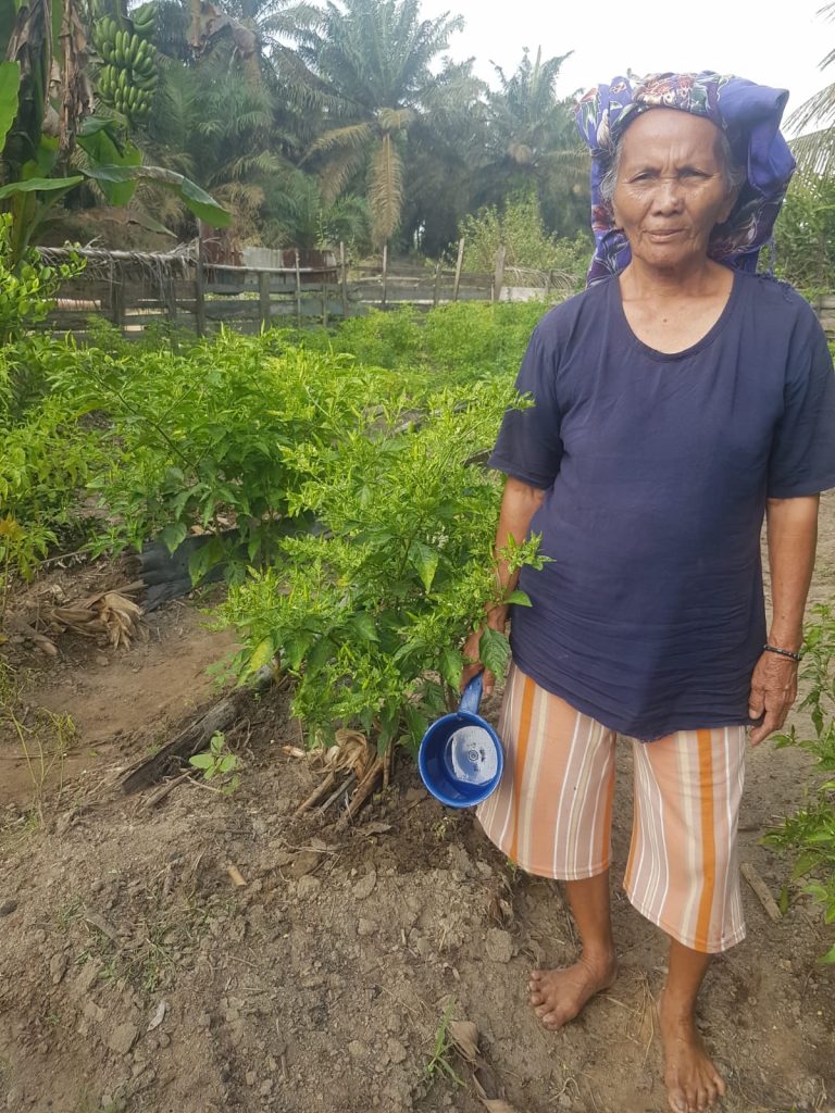 Ternyata Begini! Rahasia Menanam Cabai Rawit Yang Benar 3 IMG 20220330 WA0007 2