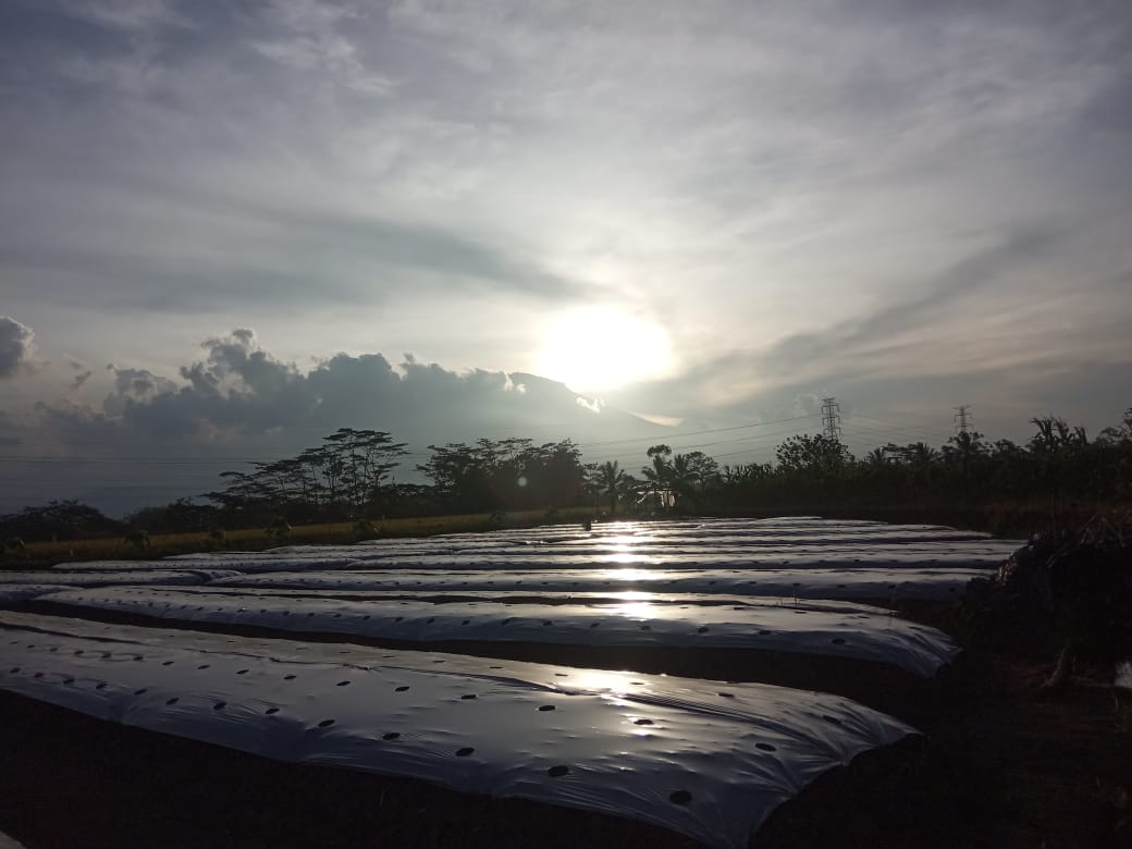 Perginya Sahabat Tercinta