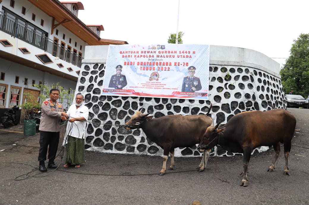 Jelang Idul Adha 1443 H, Kapolda Berkurban Sapi