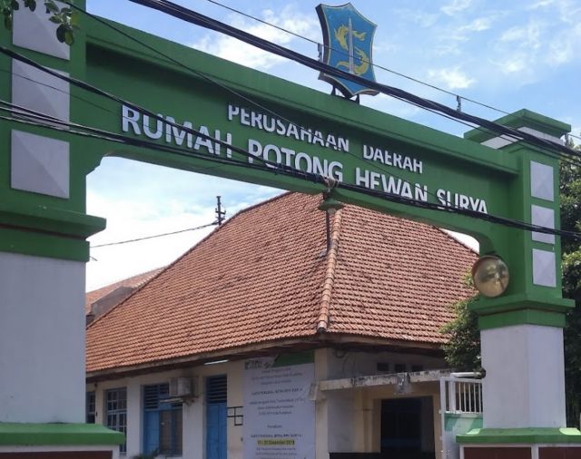 Pemotongan Hewan Kurban di RPH Surabaya Menurun, Ini Penyebabnya