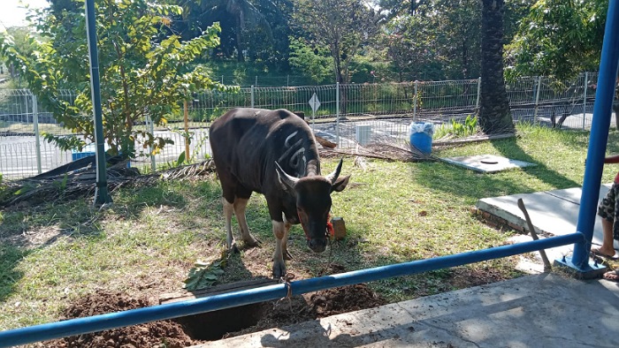 Momentum Hari Raya Idul Adha 2022 di PT Gunze Indonesia