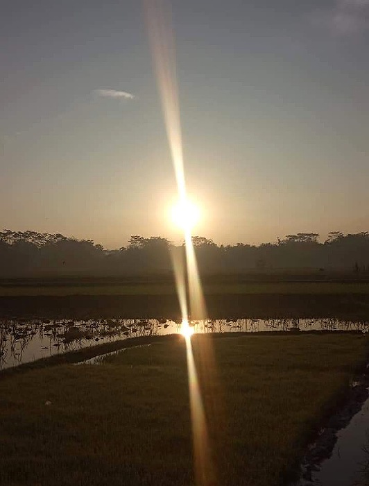 IMG 14052022 214844 532 x 700 piksel 1