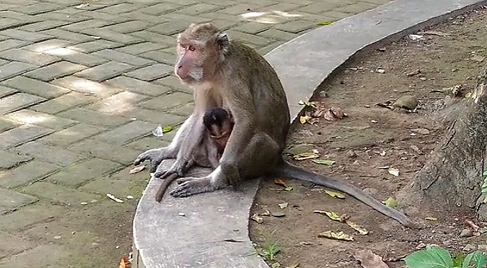 IMG 22032022 150302 700 x 386 piksel 1