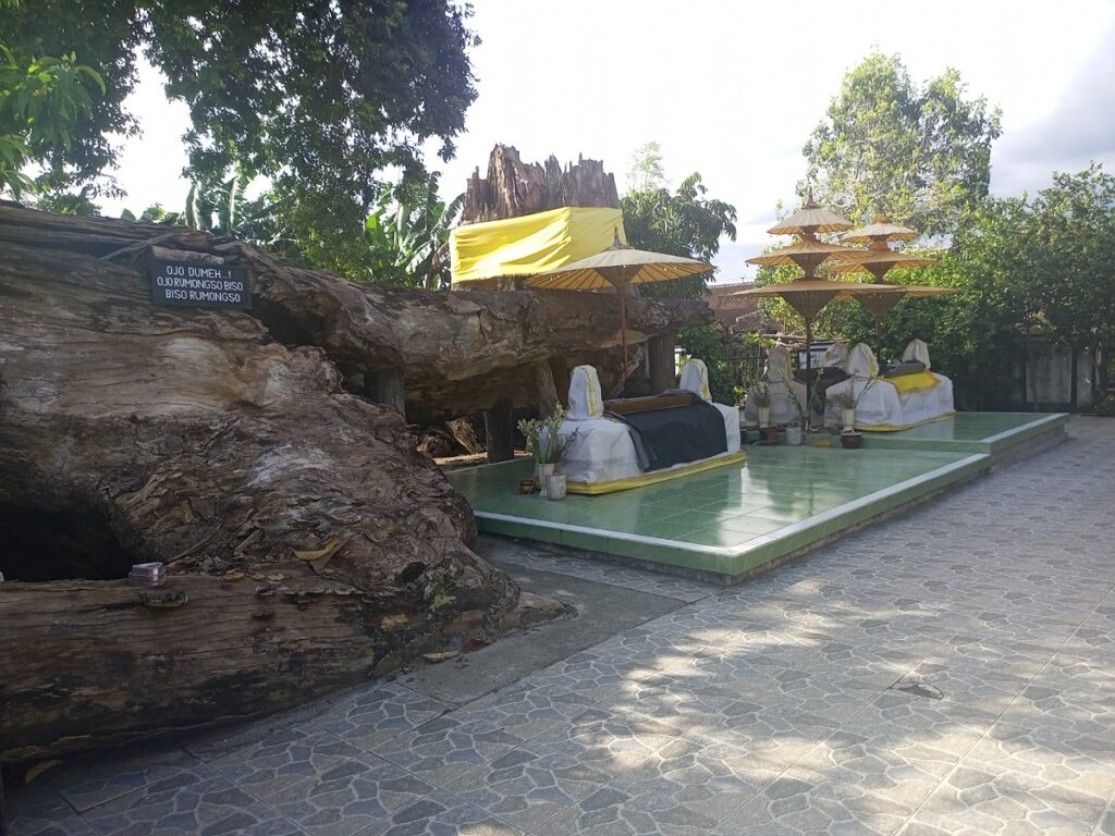 IMG 23122022 115335 1200 x 900 piksel