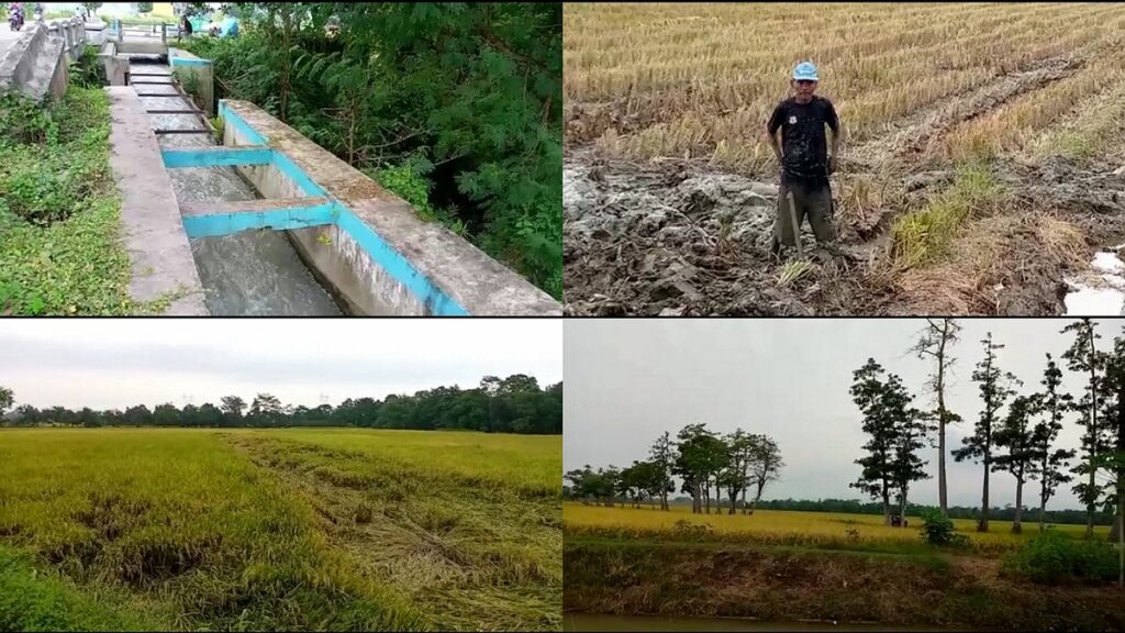 IMG 26112022 180231 1200 x 675 piksel