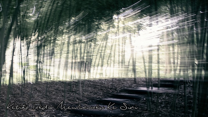 Ketika Takdir Membawaku Ke Sini