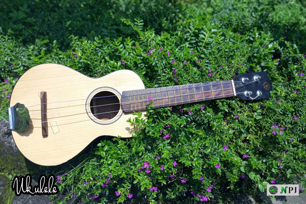 Polish 20220203 113854726