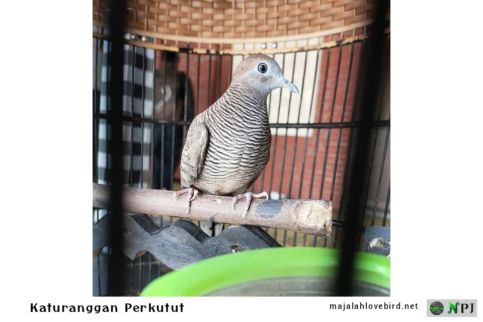 Polish 20220210 123728270