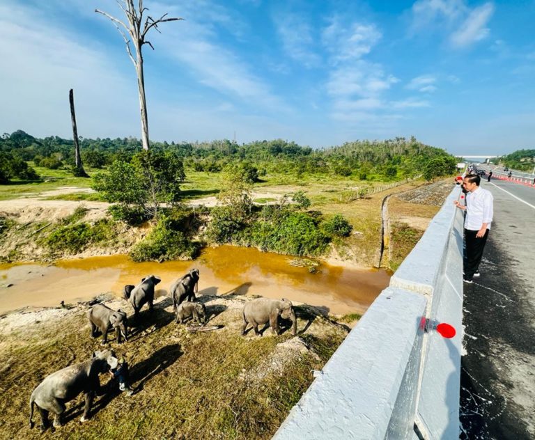 Pembangunan Infrastruktur Harus Ramah Lingkungan
