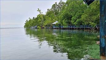 selat soren kemekeu.go .id